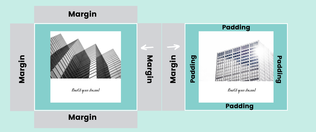 CSS Margin Vs Padding What s The Difference And How To Use CSS Margin Vs Padding What s The Difference And How To Use