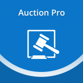 Magento Auction Pro