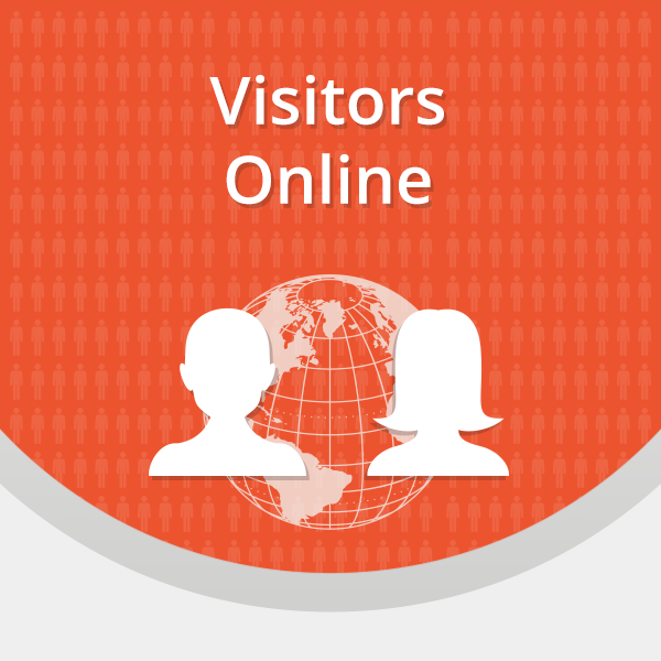 Visitors Online