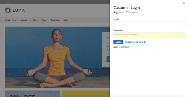 Frontend Customer Login View